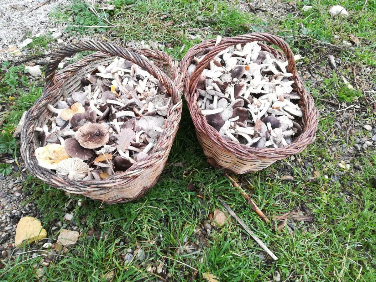 Pensjonat Lo Cel De Tolo Zewnętrze zdjęcie